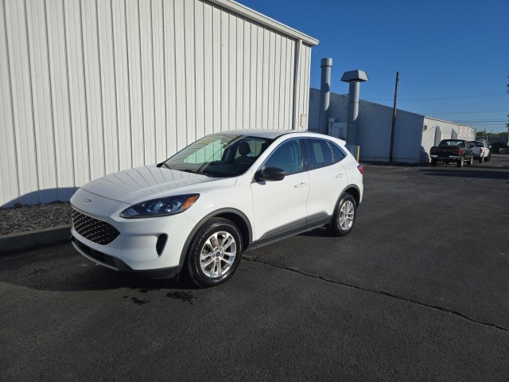Used 2022 Ford Escape SE For Sale Marion IN