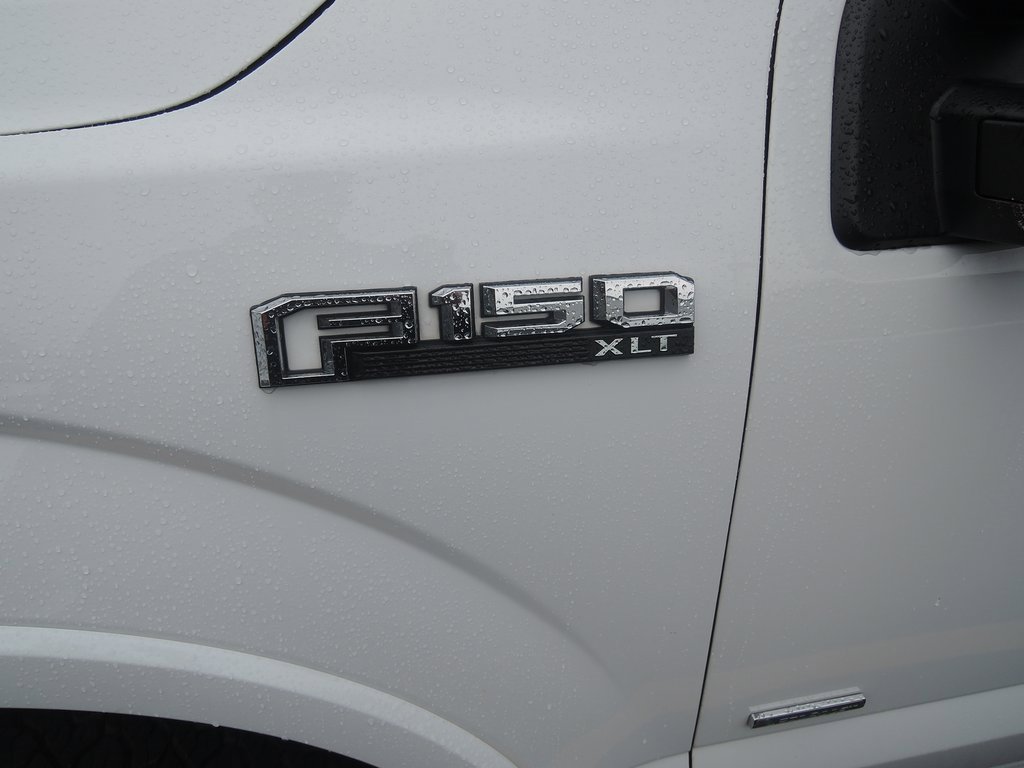 2017 Ford F-150 XL photo 4
