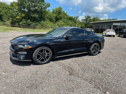 2019 Ford Mustang Ecoboost EcoBoost  Fastback