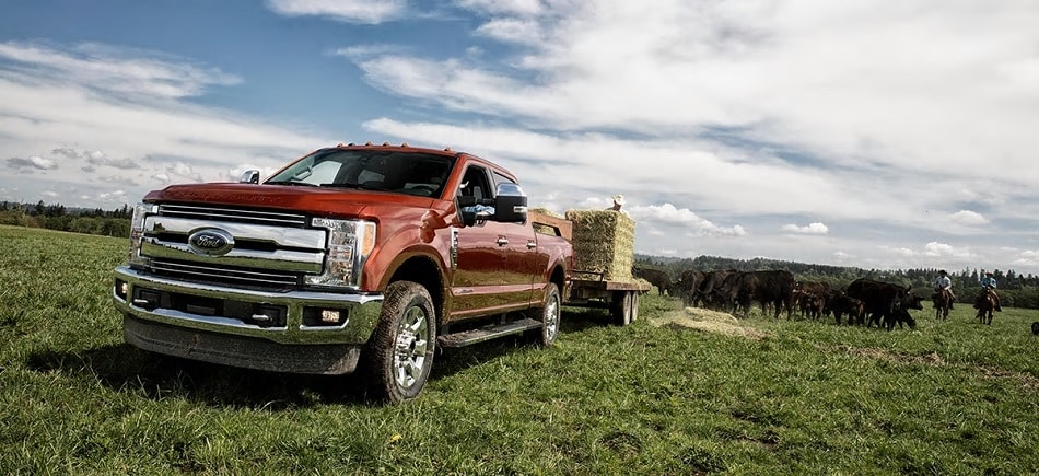 F250 For Sale Near Me >> 2019 Ford F250 Super Duty Big Country Dealer Stephenville ... F250 For Sale Near Me >> 2019 Ford F250 Super Duty Big Country Dealer Stephenville ...