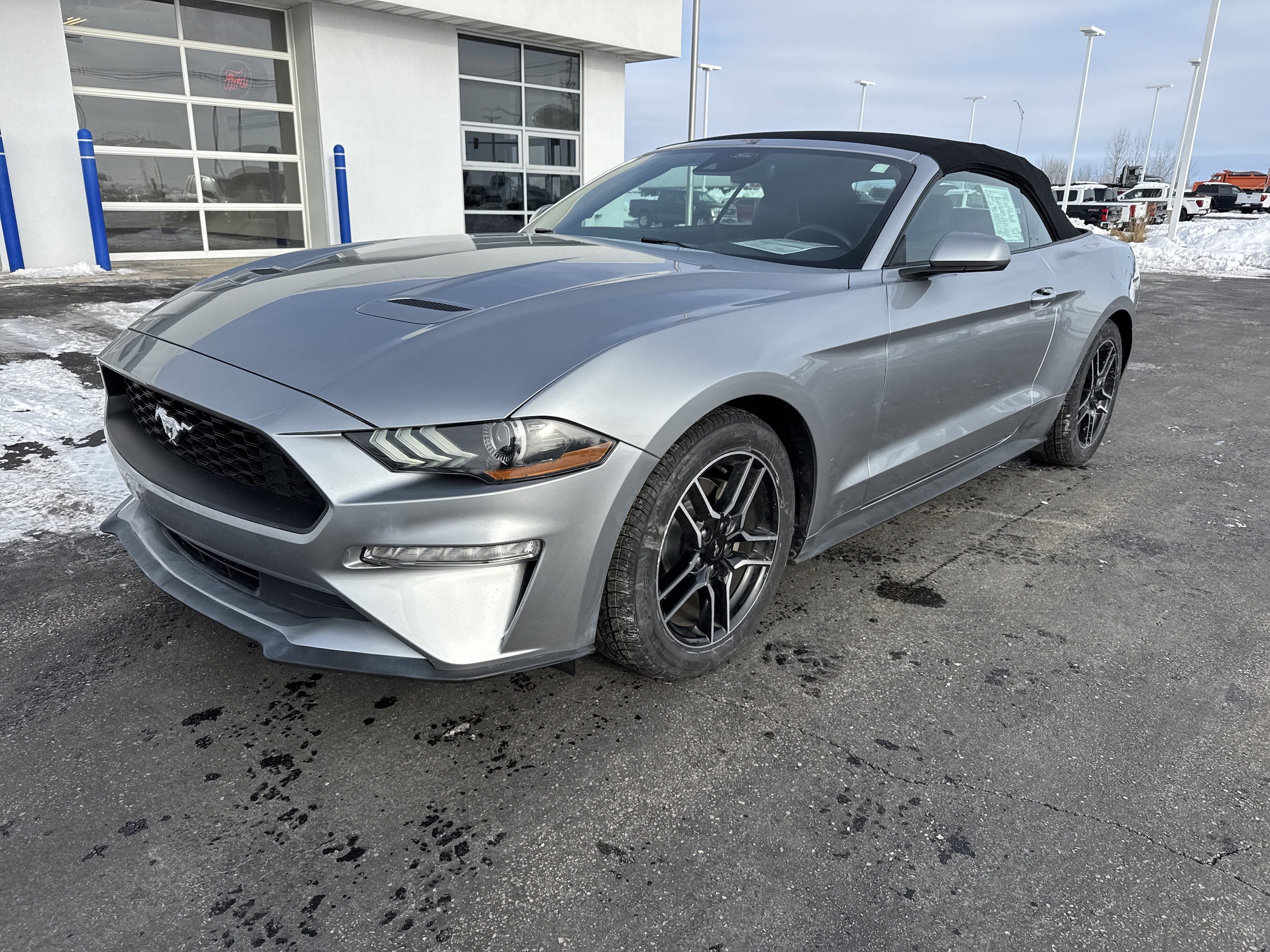 2023 Ford Mustang EcoBoost Premium's photo