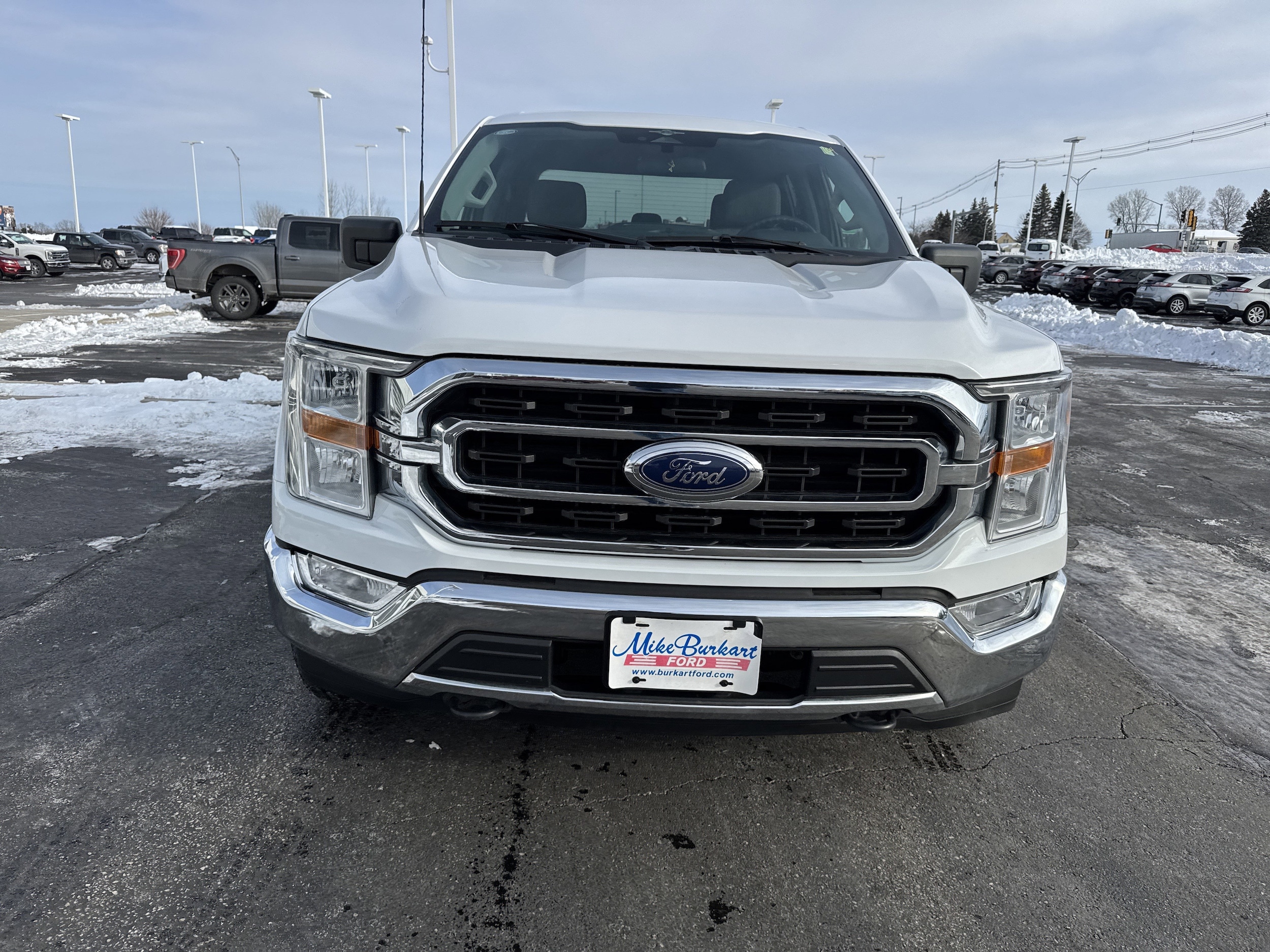 2023 Ford F-150 XLT's photo