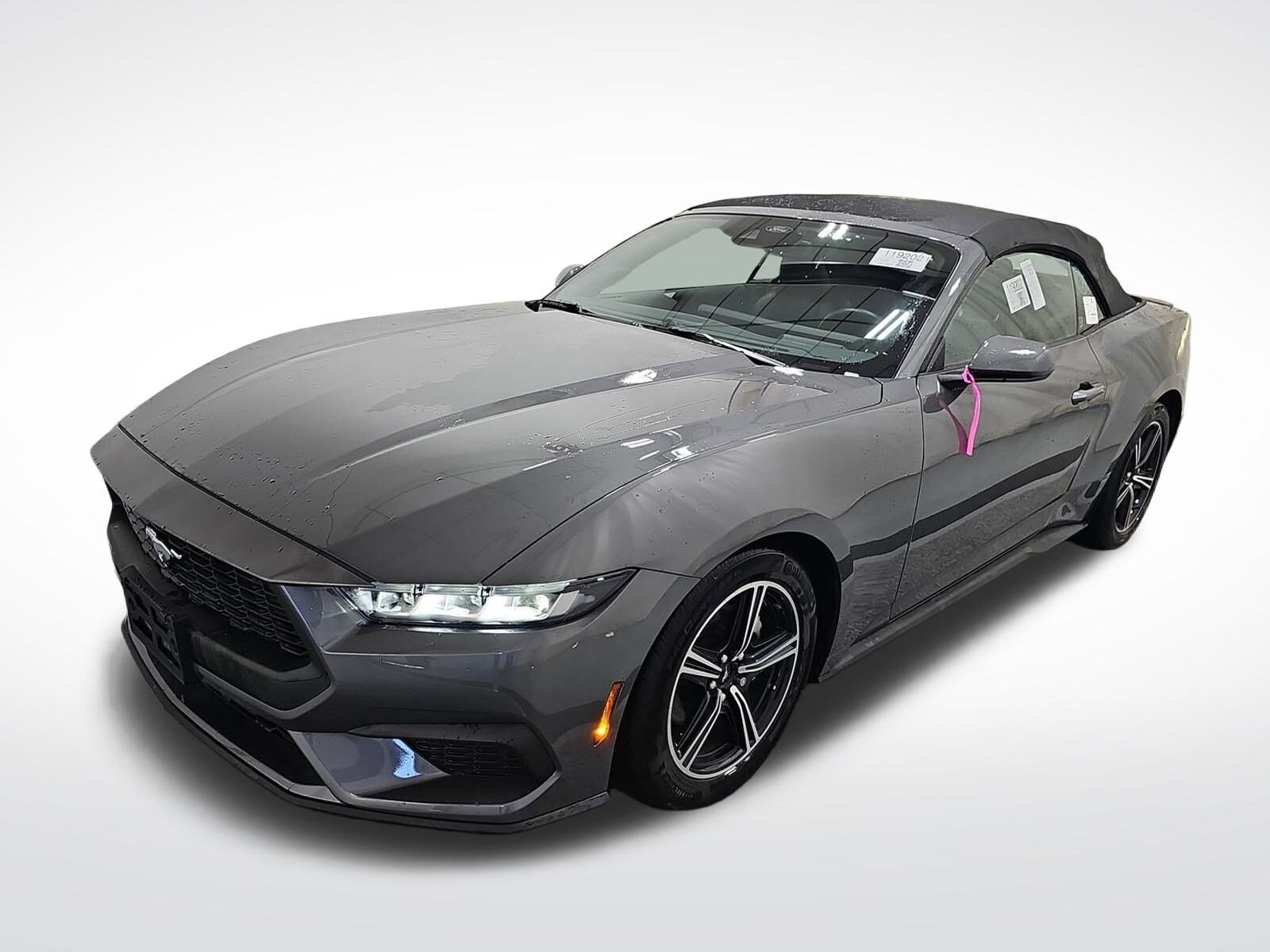 2024 Ford Mustang EcoBoost Premium Convertible photo 2