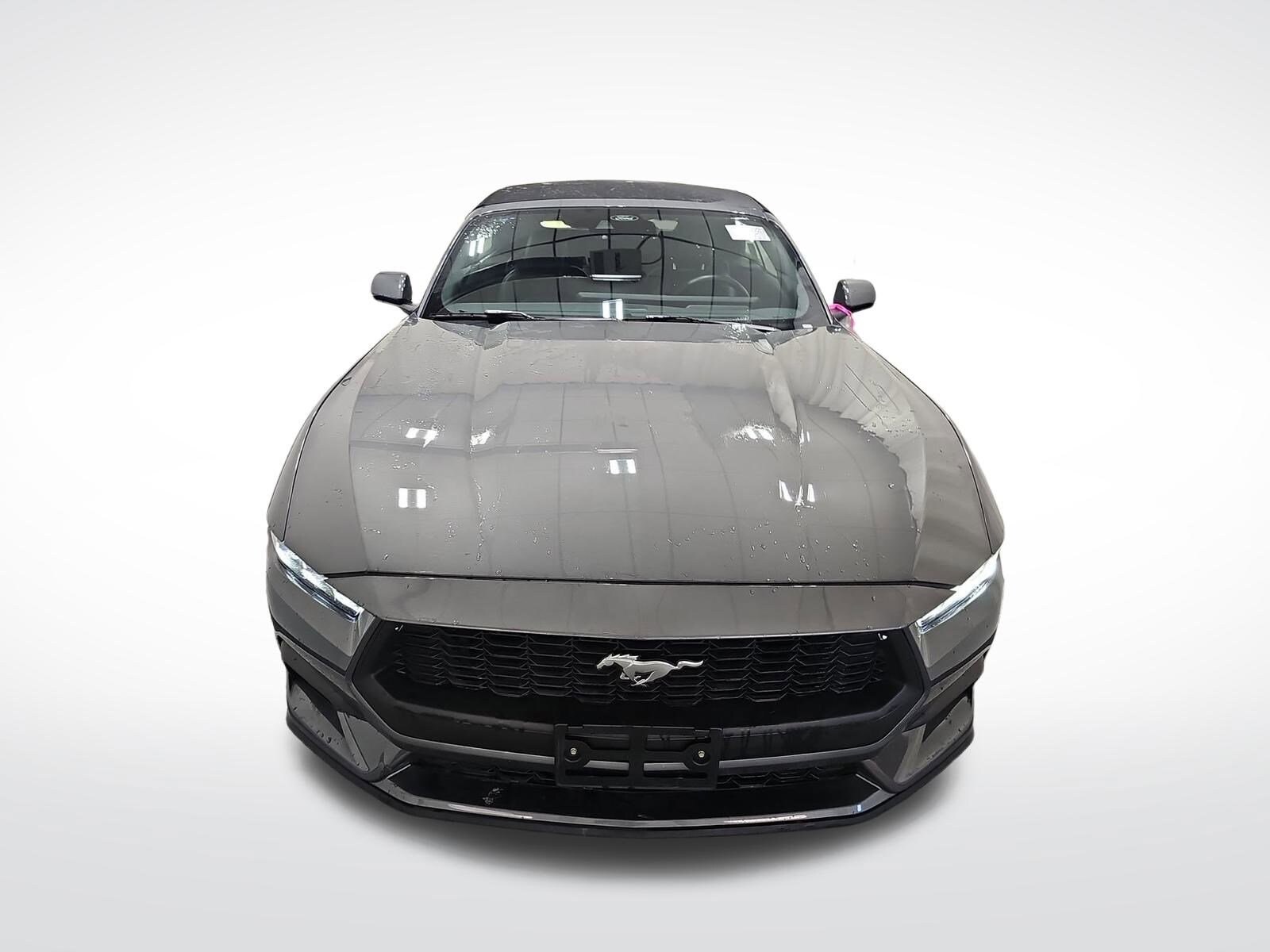 2024 Ford Mustang EcoBoost Premium Convertible photo 4