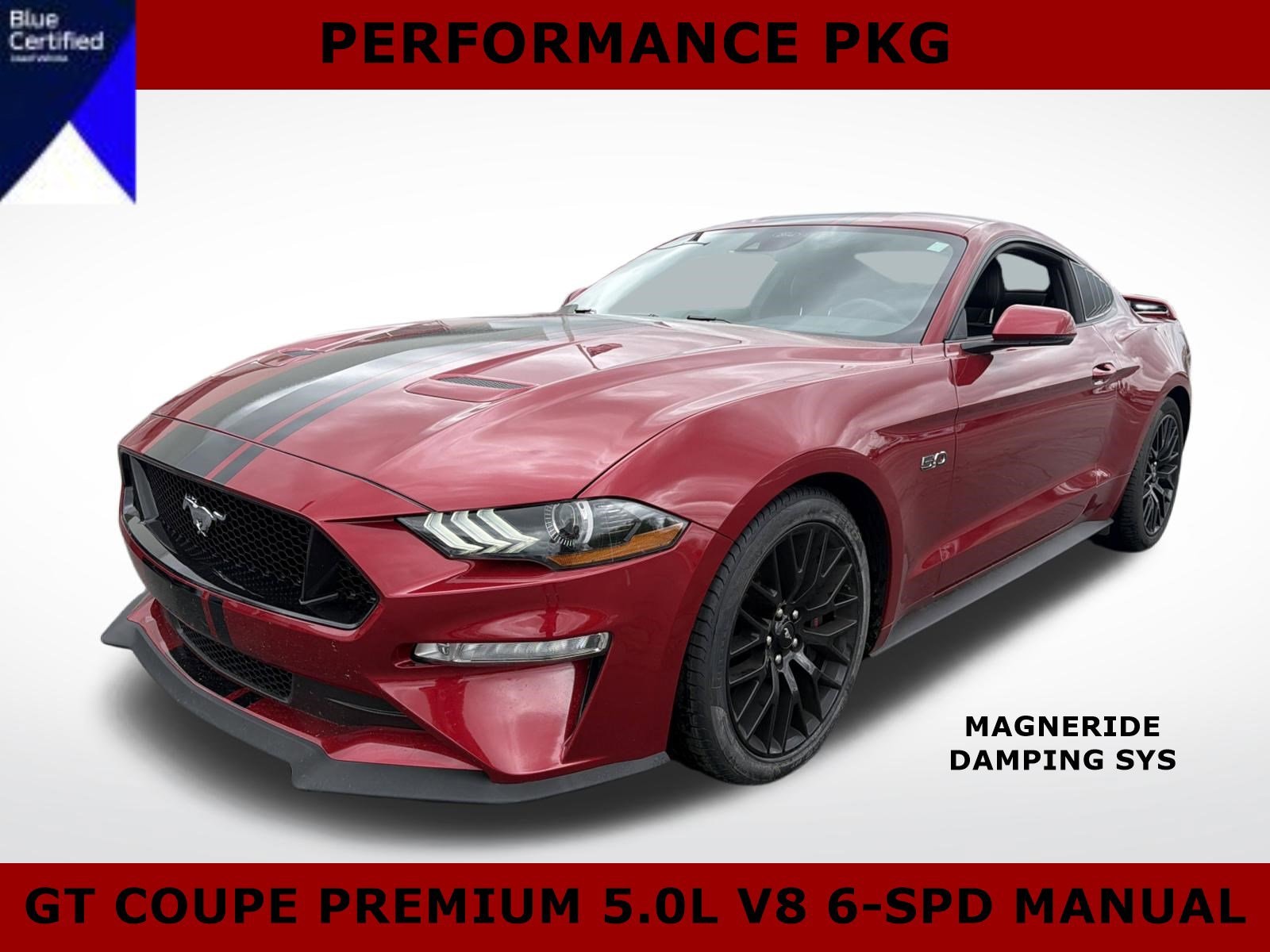 2021 Ford Mustang GT Coupe Premium's photo