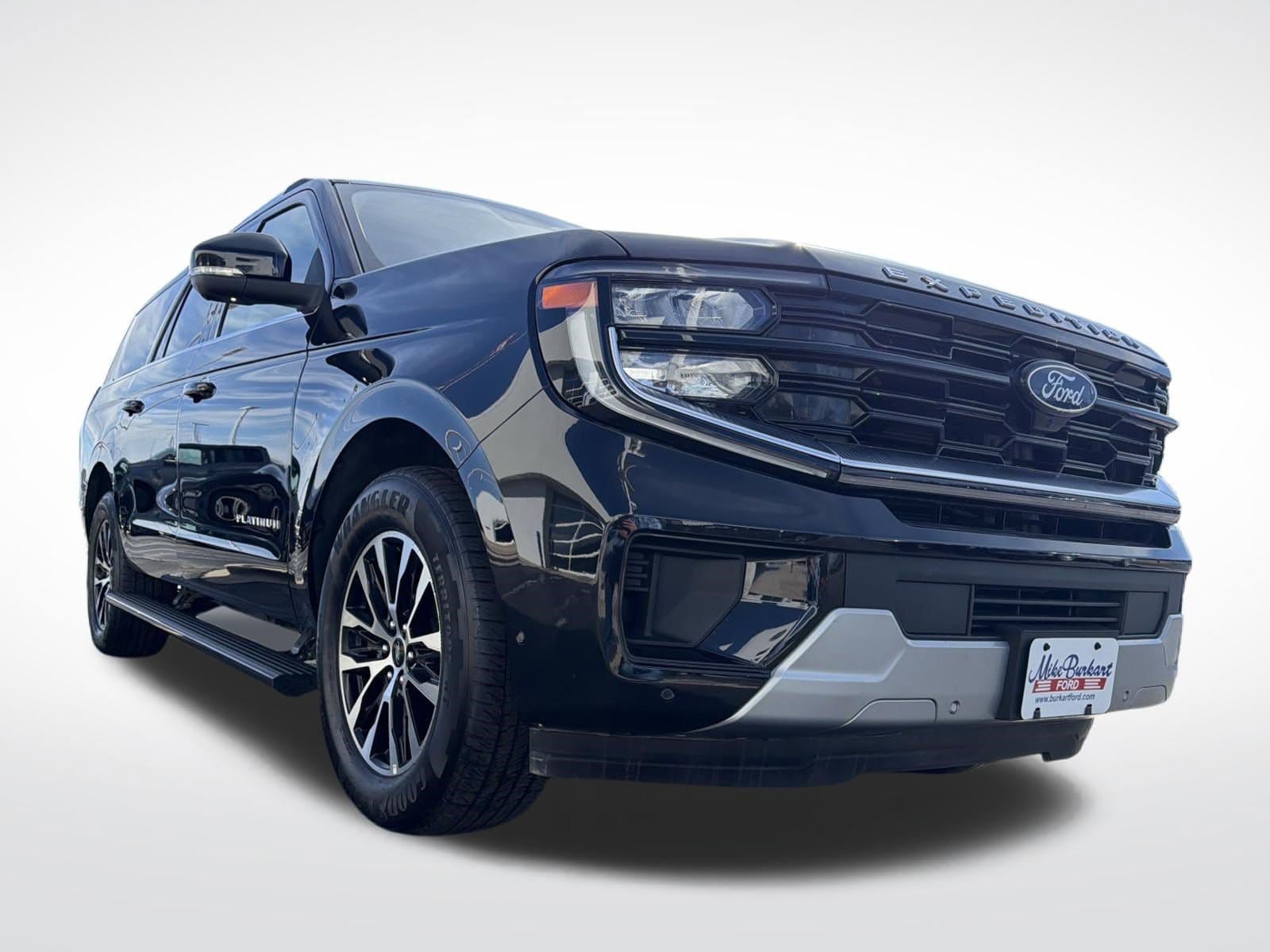 2025 Ford Expedition Platinum - Photo 10