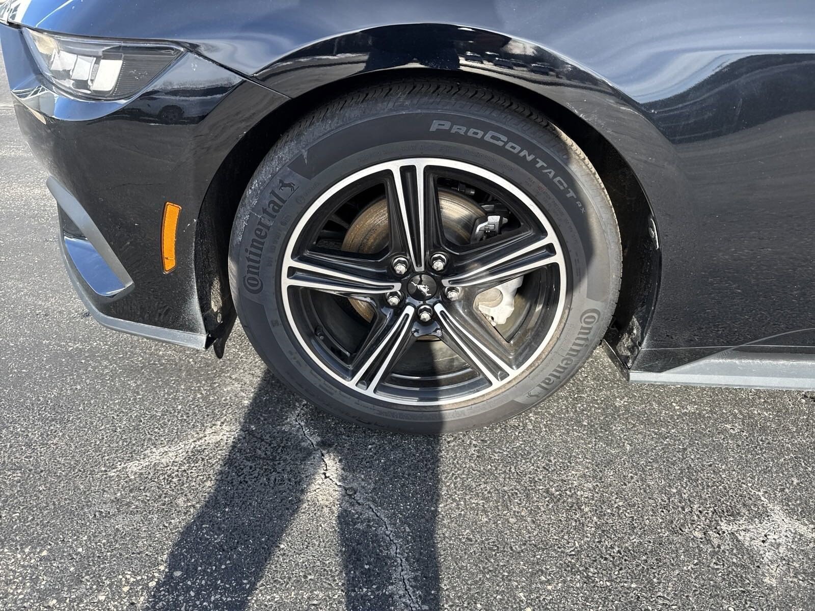 2024 Ford Mustang EcoBoost Premium Convertible photo 3