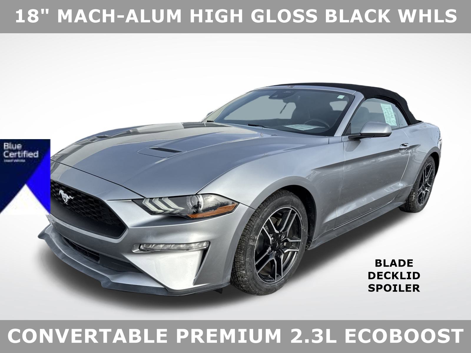 2023 Ford Mustang EcoBoost Premium's photo