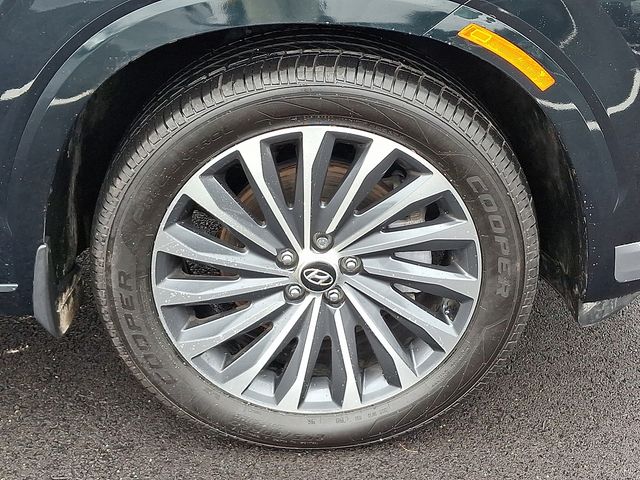 2025 Hyundai Palisade Calligraphy - Photo 8