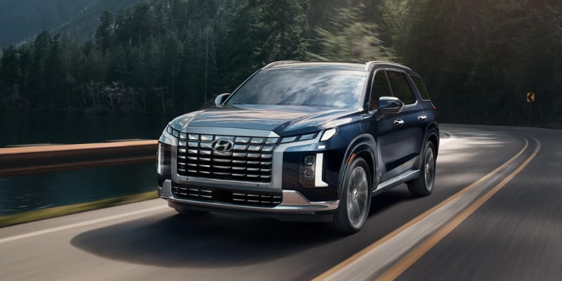 New%202025%20Hyundai%20Palisade%20%20Mike%20Camlin.png