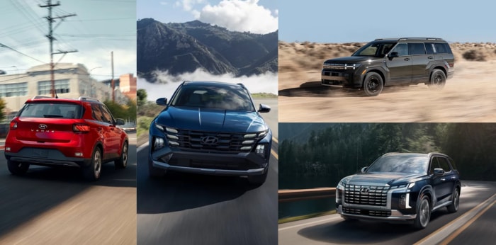 Which%20New%20Hyundai%20SUV%20is%20Best%20for%20You%20%20Mike%20Camlin%20Hyundai.png