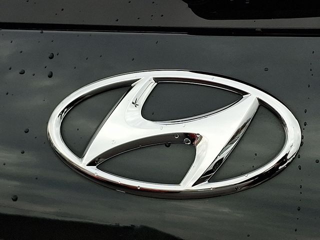 2025 Hyundai Palisade Calligraphy - Photo 31