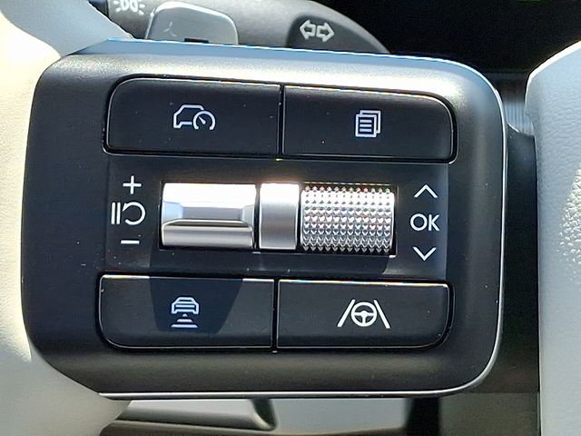 2025 Hyundai Santa Fe Calligraphy - Photo 22