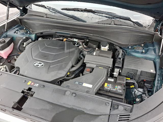 2025 Hyundai Palisade Calligraphy - Photo 28