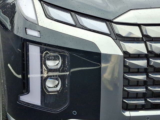 2025 Hyundai Palisade Calligraphy - Photo 9