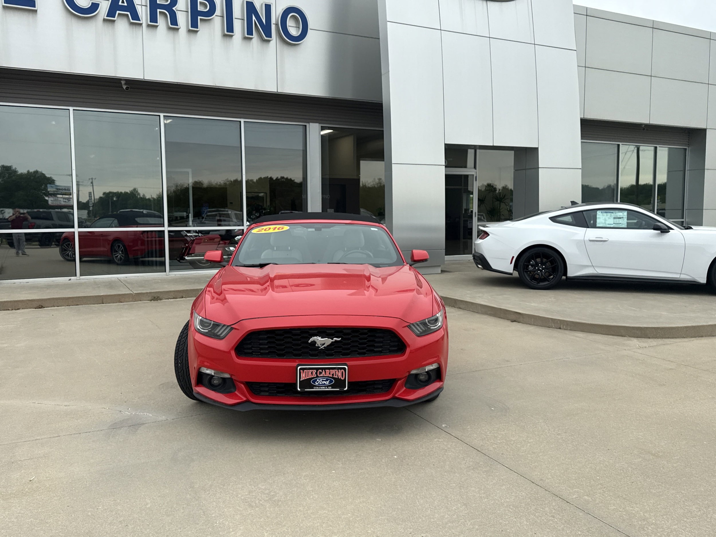 Used 2016 Ford Mustang EcoBoost Premium with VIN 1FATP8UH3G5281480 for sale in Columbus, KS