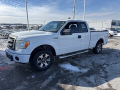 2013 Ford F-150 Truck SuperCab Styleside