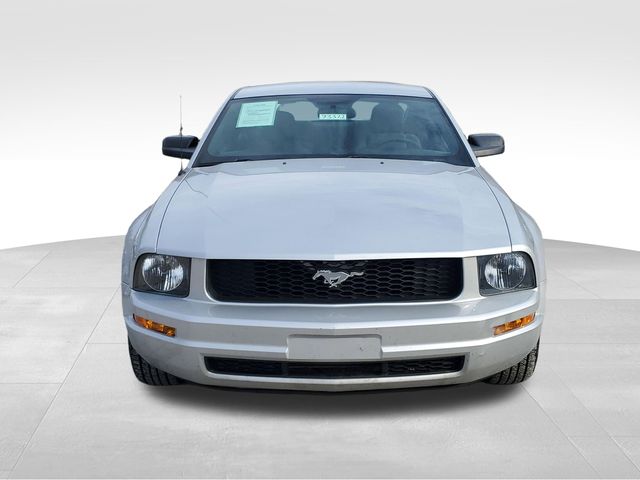Used 2005 Ford Mustang Deluxe with VIN 1ZVFT80N655196724 for sale in Alexandria, KY