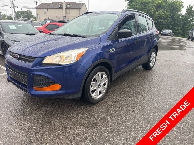 2014 Ford Escape S's photo