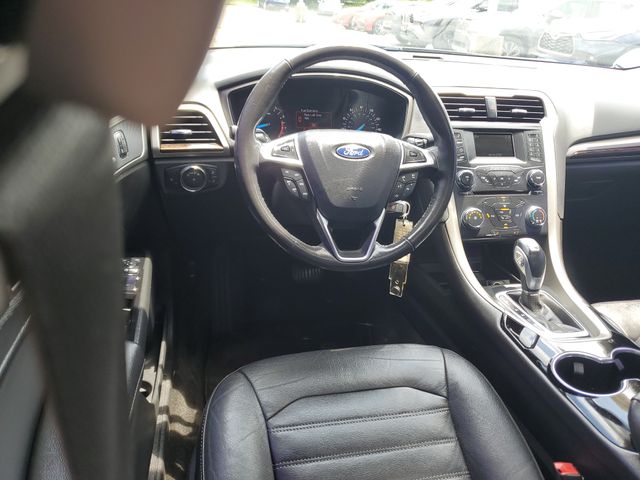 Photo 11