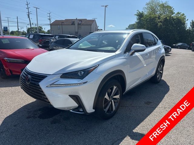 2019 Lexus NX 350 300 AWD's photo