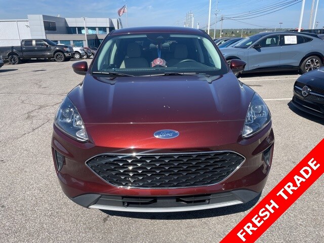 2021 Ford Escape SE photo 2