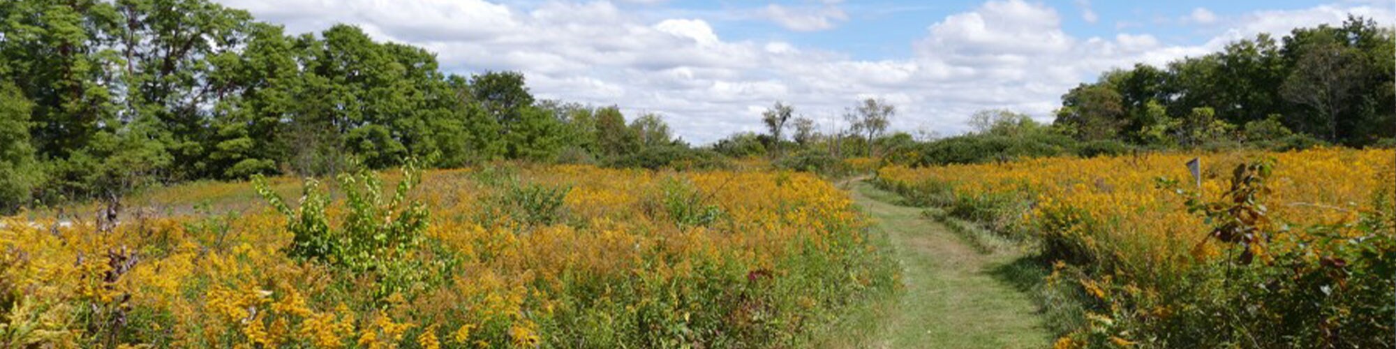 Milford Guests Mike Castrucci Ford, Local Ford Dealer