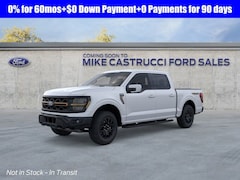 2025 Ford F-150 Tremor Truck