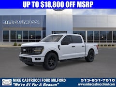 2025 Ford F-150 STX Truck