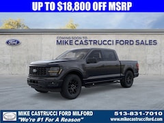 2025 Ford F-150 STX Truck