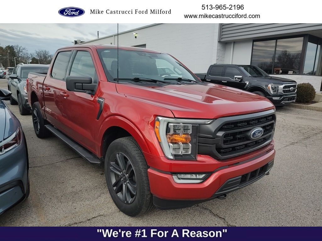 2023 Ford F-150 XLT photo 3