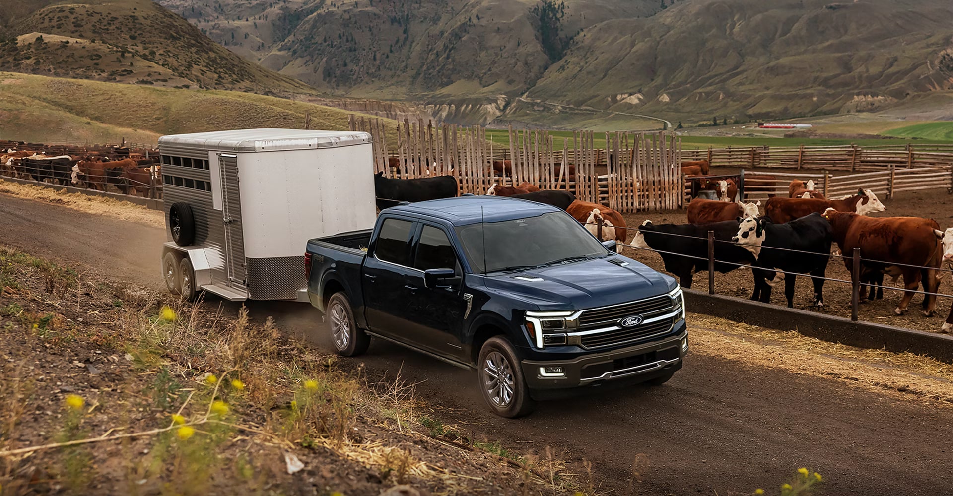 Where Should You Buy A Ford F-150 in Alexandria