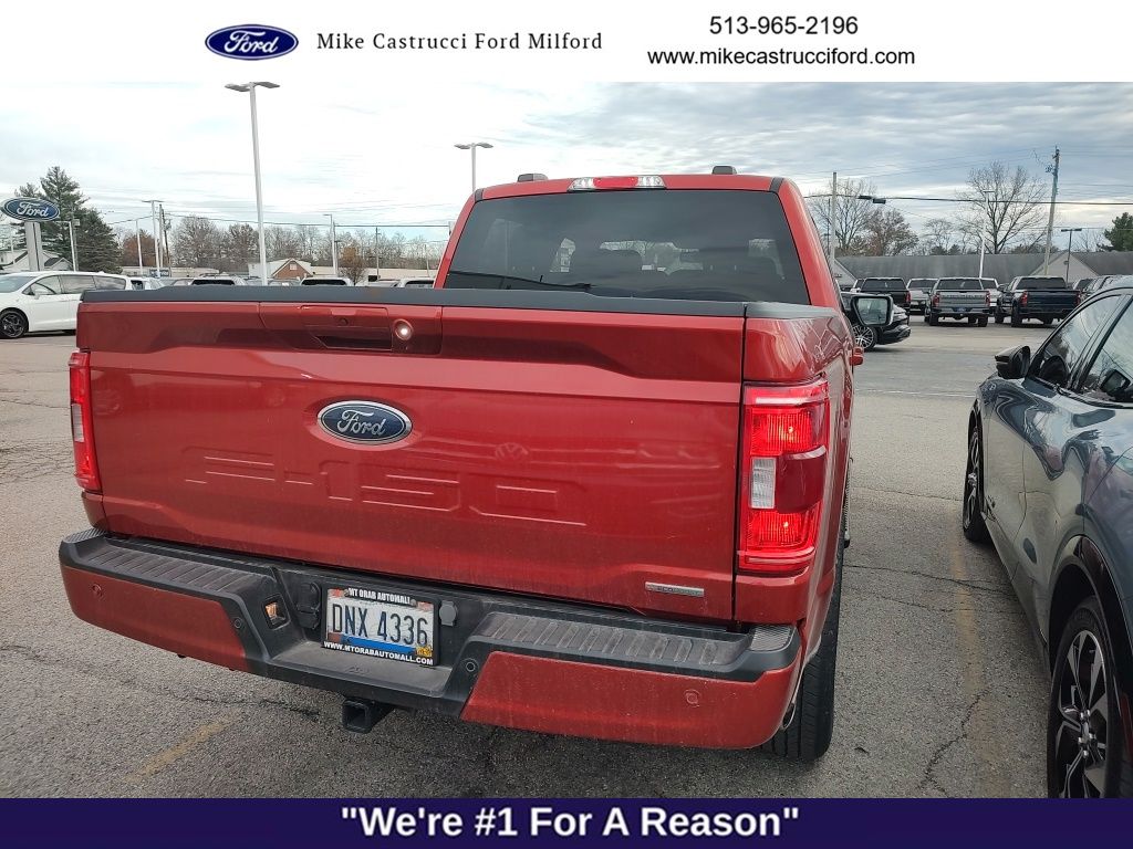 2023 Ford F-150 XLT photo 4