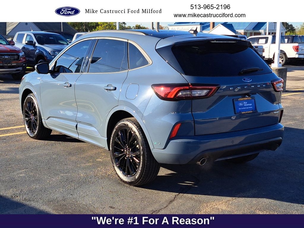 Used 2024 Ford Escape ST-Line Elite SUV