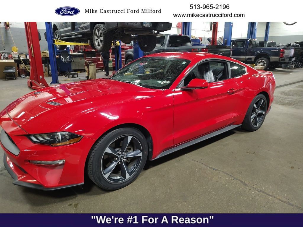 2019 Ford Mustang EcoBoost's photo