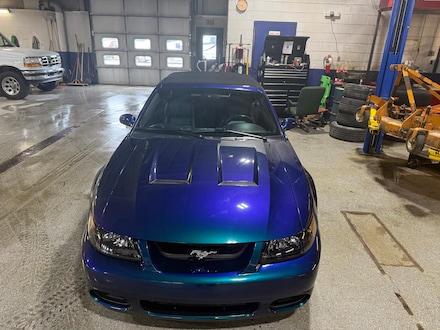 2004 Ford Mustang Cobra Convertible