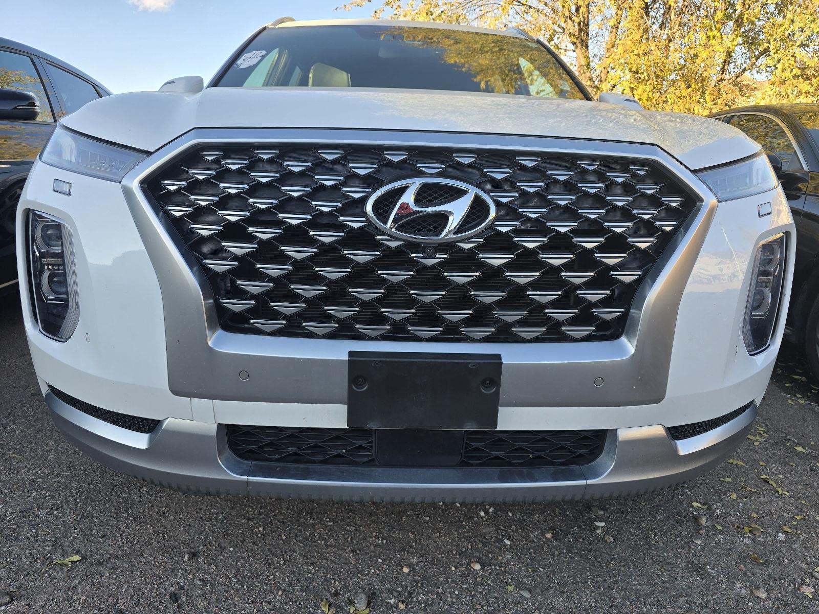 2021 Hyundai Palisade Calligraphy photo 2