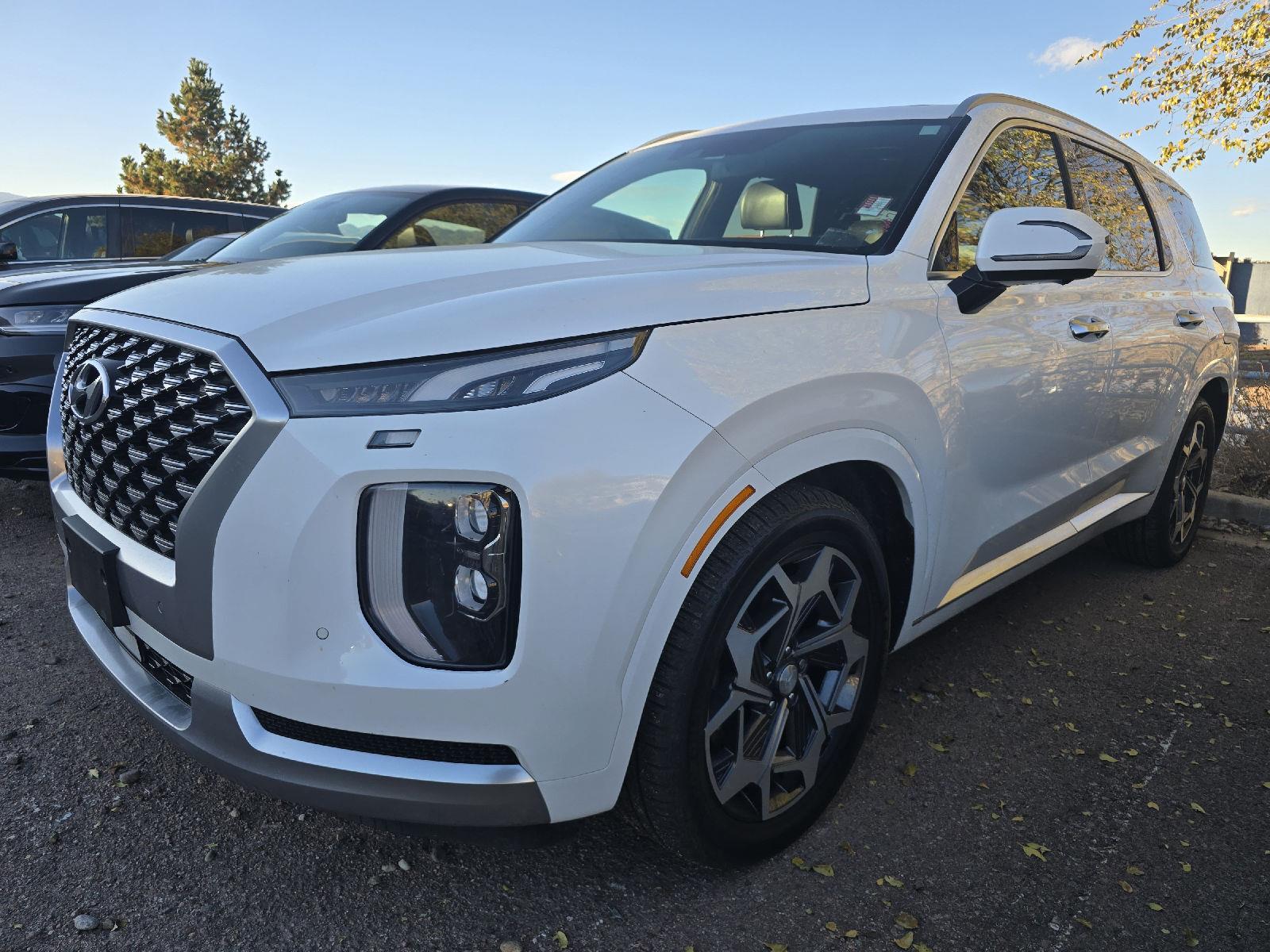 2021 Hyundai Palisade Calligraphy photo 3