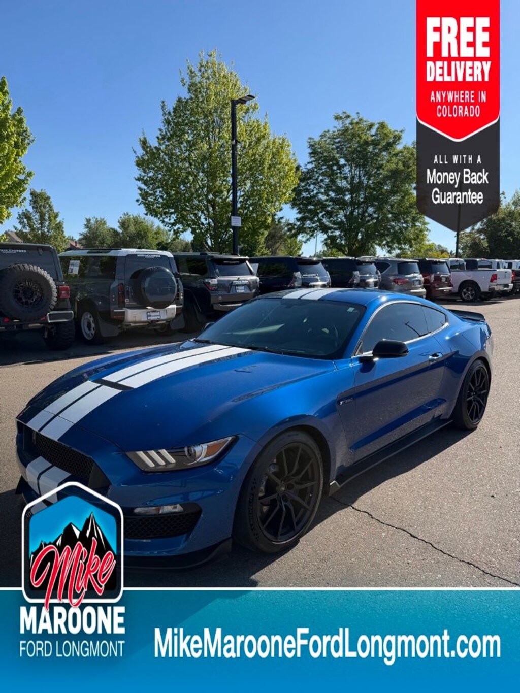 Used 2017 Ford Shelby GT350 Shelby GT350 Coupe