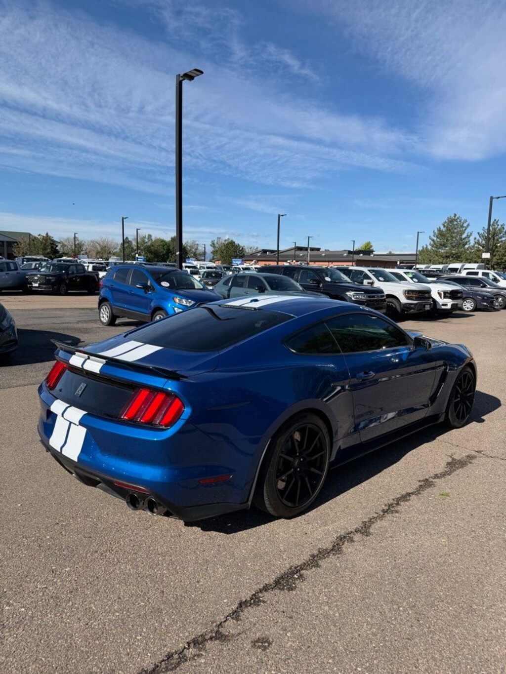 Used 2017 Ford Shelby GT350 Shelby GT350 Coupe