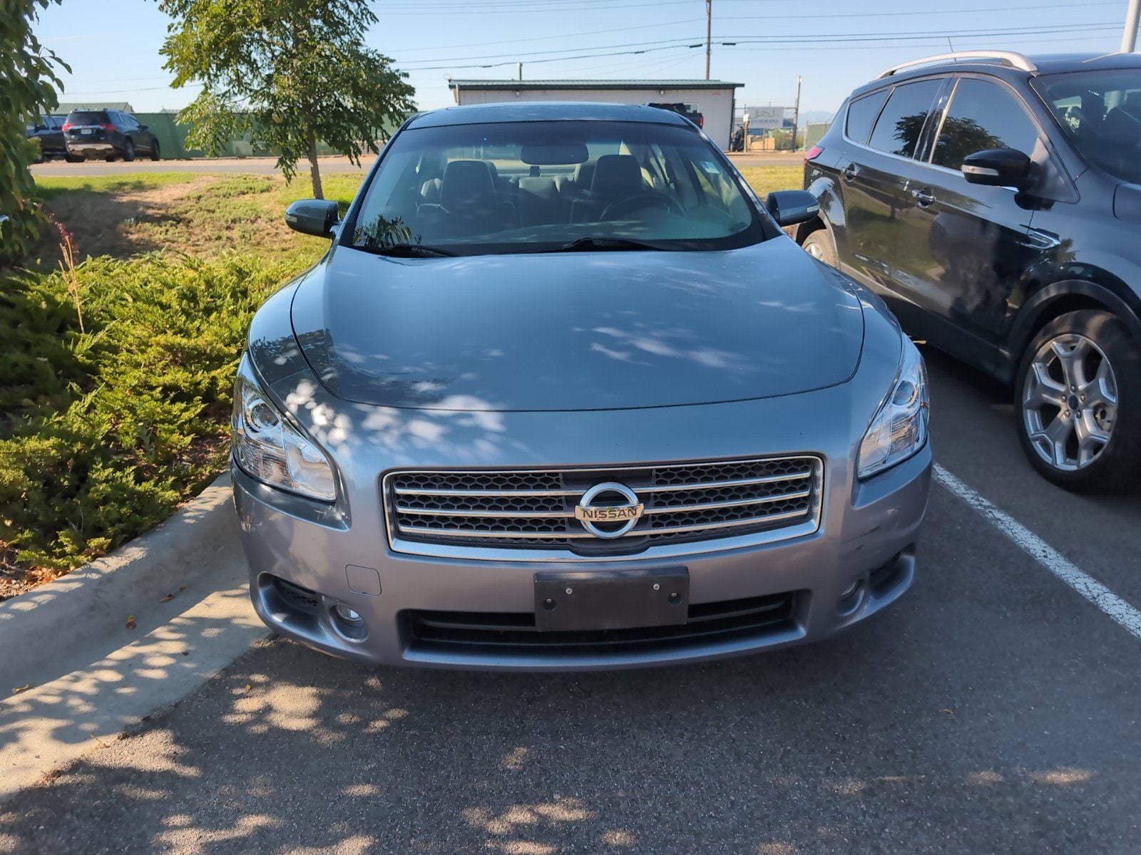 Used 2010 Nissan Maxima SV with VIN 1N4AA5APXAC856390 for sale in Longmont, CO