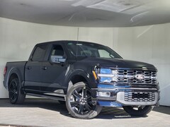 2025 Ford F-150 STX Truck
