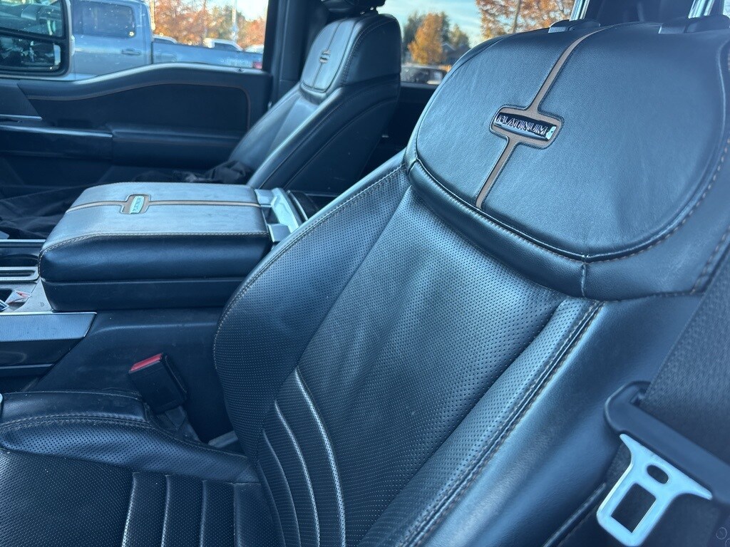 2021 Ford F-150 Platinum photo 3