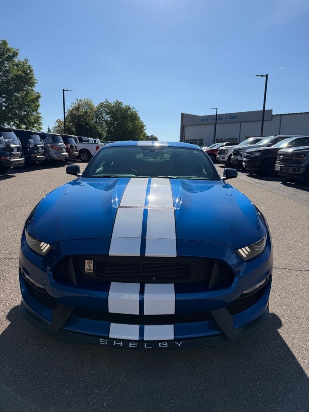 Used 2017 Ford Shelby GT350 Shelby GT350 Coupe