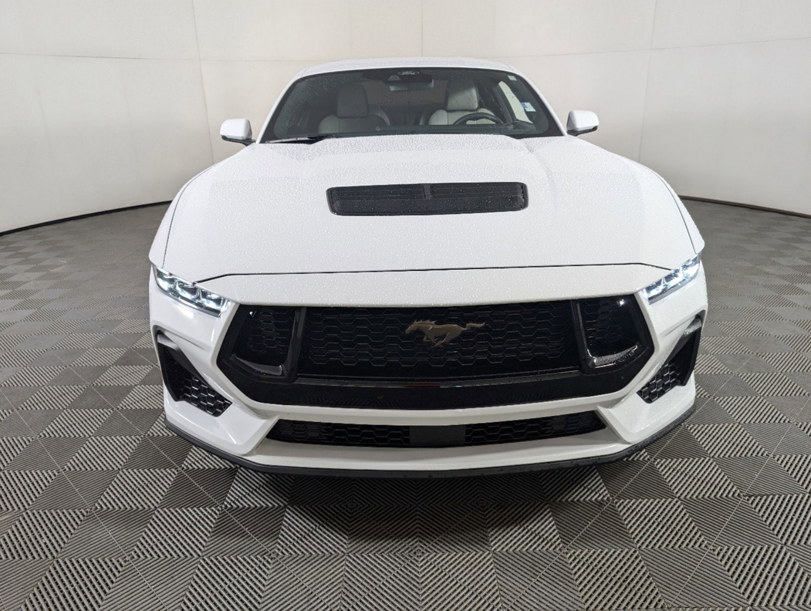 Used 2024 Ford Mustang GT Premium with VIN 1FA6P8CF2R5407280 for sale in Longmont, CO