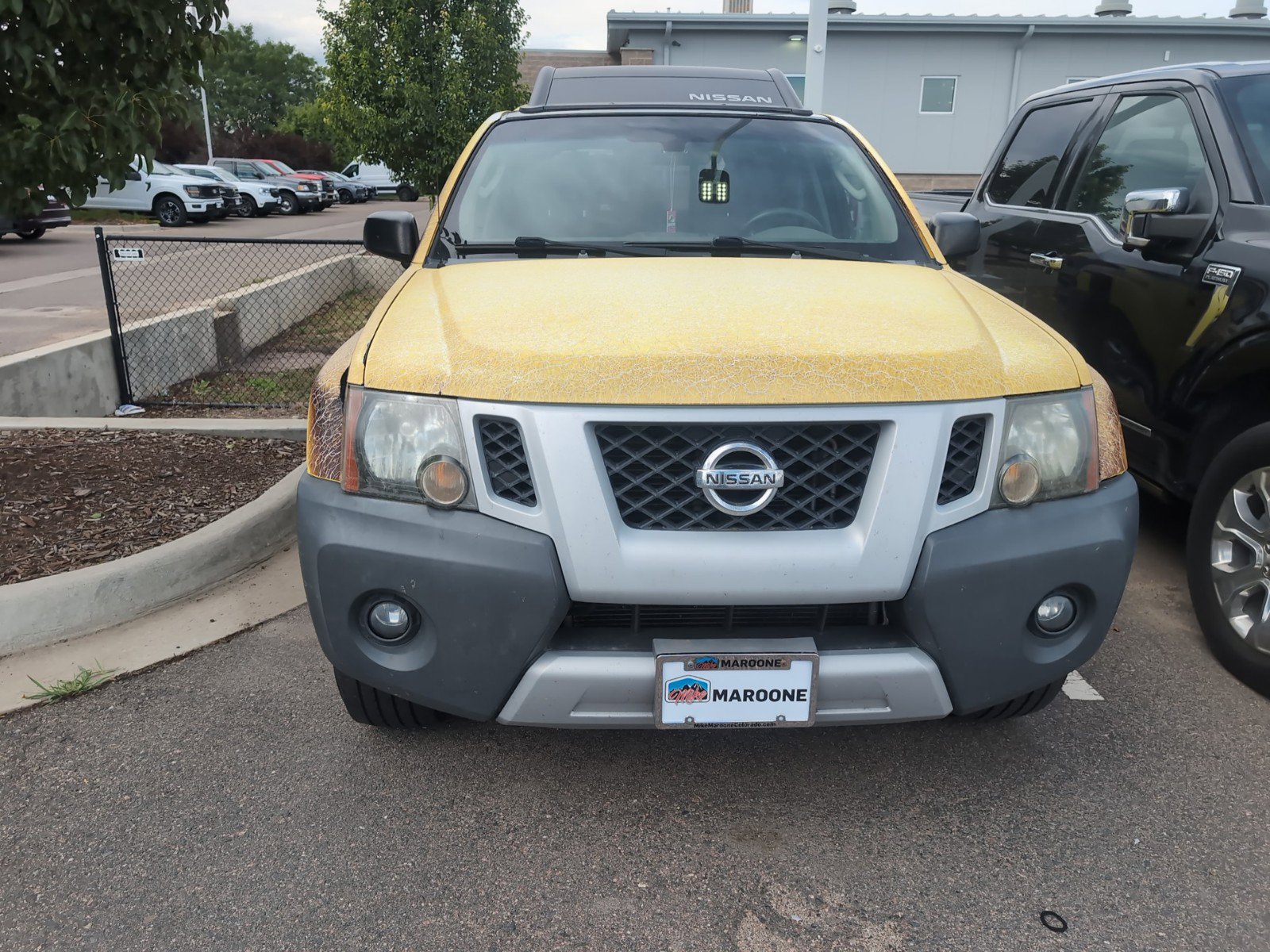 Used 2009 Nissan Xterra S with VIN 5N1AN08U39C512825 for sale in Longmont, CO