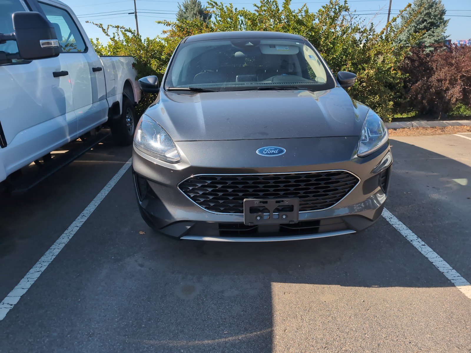 Used 2020 Ford Escape SE with VIN 1FMCU9G63LUB04779 for sale in Longmont, CO