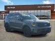 Used 2024 Kia Telluride SX-Prestige X-Line SUV