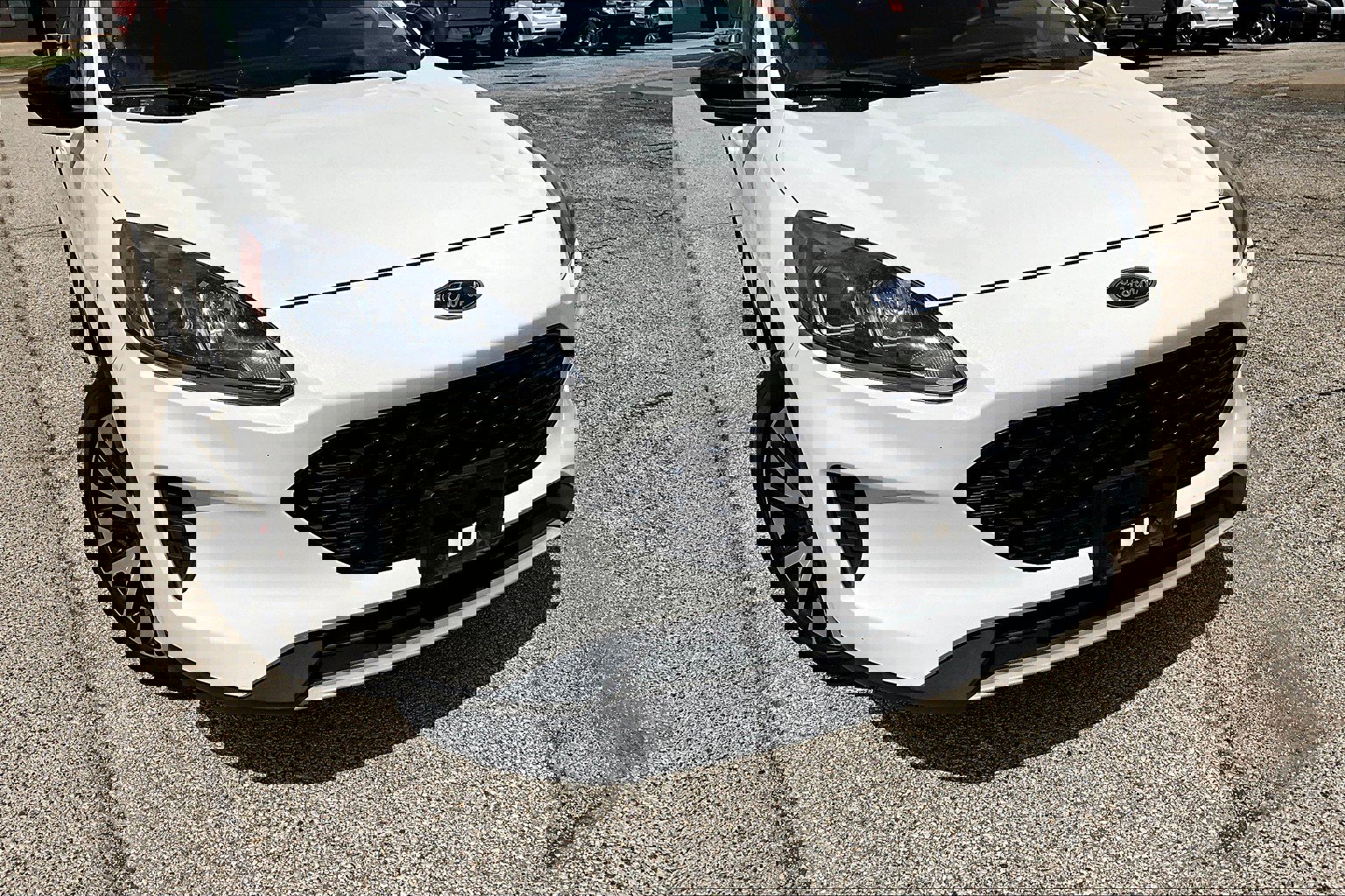 2020 Ford Escape SE Sport Hybrid photo 3
