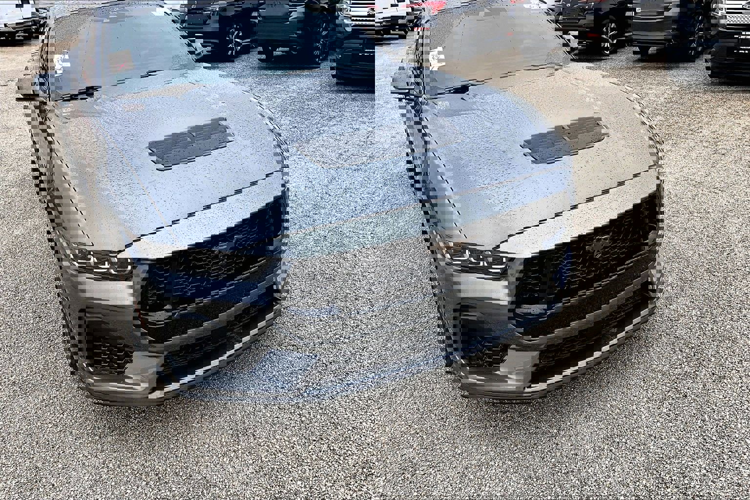 2024 Ford Mustang GT Premium photo 3